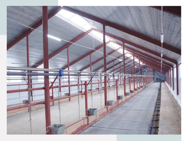 Строительство коровников в Белорецке от 608 руб.