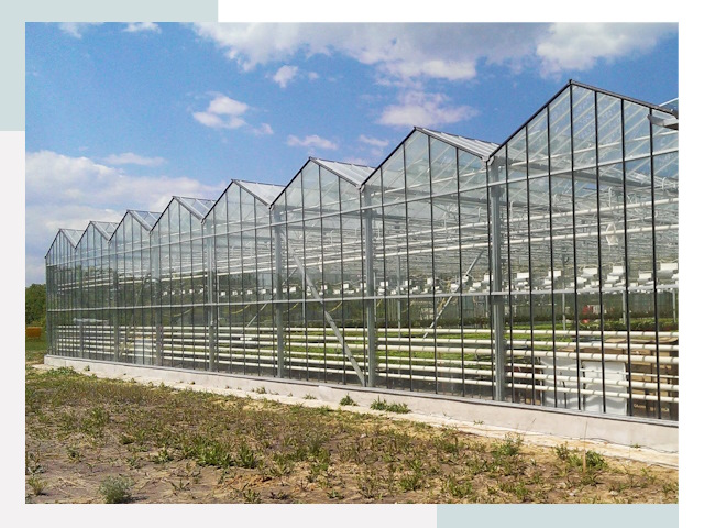 Строительство теплиц в Белорецк от 608 руб. за м²